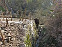 DSCF2447a.jpg