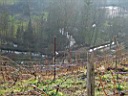 DSCF2449a.jpg