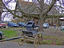 DSCF2456a.jpg