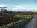 DSCF2571a.jpg