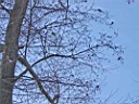 DSCF2947a.jpg