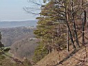 P3110121a.jpg