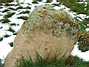 DSCF3143a.jpg