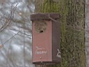 IMG_6134a.jpg