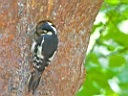 IMG_7400a.jpg