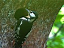 IMG_7429a.jpg