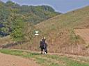 IMG_9885a.jpg