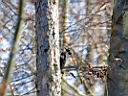 IMG_3463w.jpg