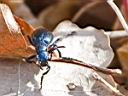 IMG_3492w.jpg