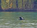 IMG_1293w.jpg