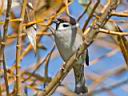 IMG_1509w.jpg