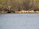 IMG_2227w.jpg