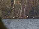 IMG_2233w2.jpg