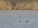 IMG_2250w.jpg