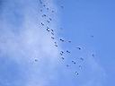IMG_2282w.jpg