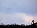 IMG_2308w2.jpg