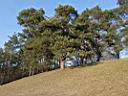 DSCF0765w6.jpg