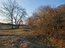 DSCF0787w6.jpg