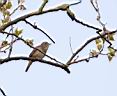 IMG_4289w.jpg