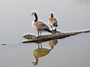 IMG_4349w.jpg