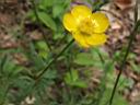 DSCF1779w.jpg