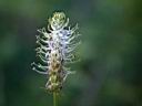 IMG_5690w.jpg