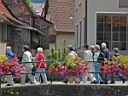 IMG_7506w.jpg