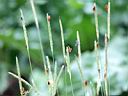 IMG_8192w.jpg