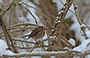 IMG_2847w.jpg