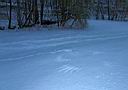 DSCF7585w.jpg