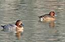 IMG_2555w.jpg