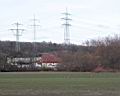 IMG_3979w.jpg