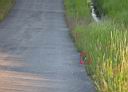 IMG_5733w2.jpg