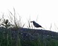 IMG_5765w.jpg