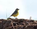 IMG_6141w.jpg