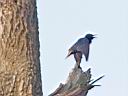 IMG_7279w.jpg