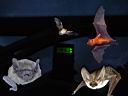 DSCF1546w5.jpg