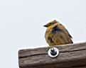 IMG_9246w.jpg