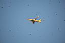 IMG_3494w.jpg
