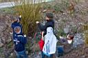 Nabu_20120321-114w.jpg
