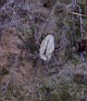 5_TG6190w.jpg