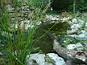 mh-Nabu-Teich-027w.jpg