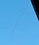 20131013_182457w.jpg