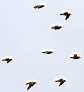 5_TG3294w.jpg