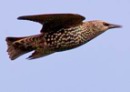 5_TG3632w.jpg