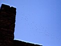5_TG3713w.jpg