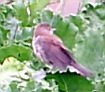 jv-20130921_090602-1w.jpg