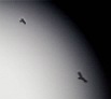 jv-20130929_111152w.jpg