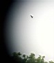 jv-20130929_111245w.jpg