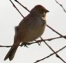 5_TG4664w.jpg